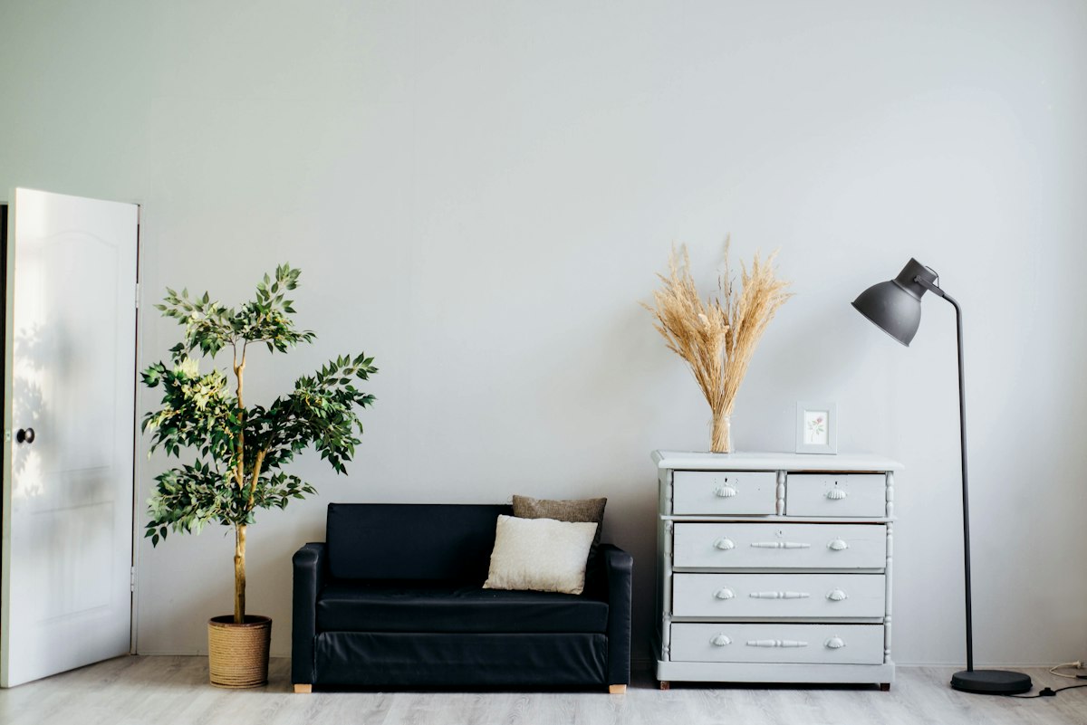 A bright, minimal living room just moved into — sofa, plant, and empty
walls waiting to be filled